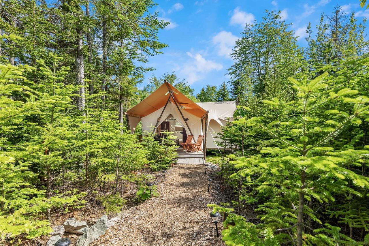 Under Canvas Acadia Surry Экстерьер фото